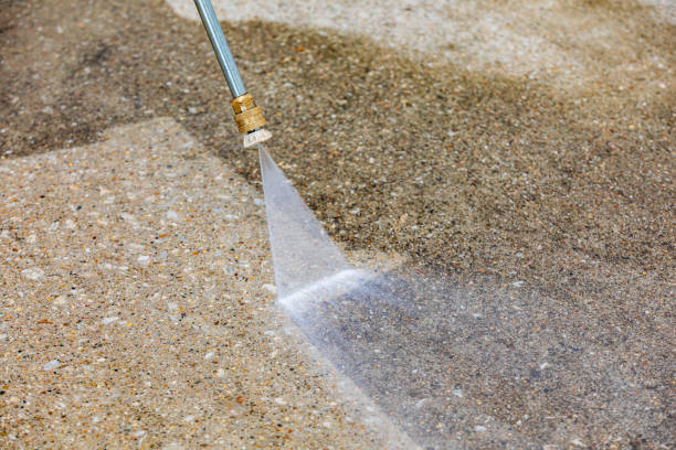 Best Animal Enclosure Cleaning  in Parkland, WA